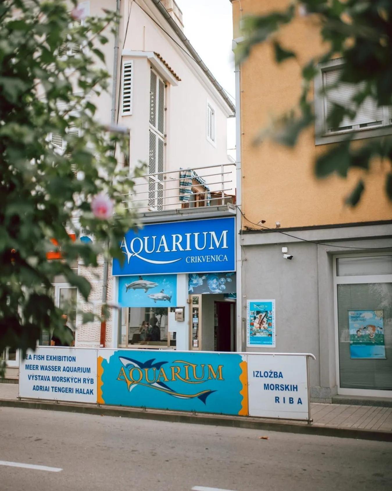 Apartment Lona Crikvenica Kültér fotó